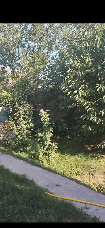 сдаю кошару: 69 м², 3 комнаты, Забор, огорожен — 4