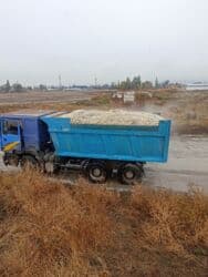 официант неполный рабочий день: ЖООМ ЖООМ — 1