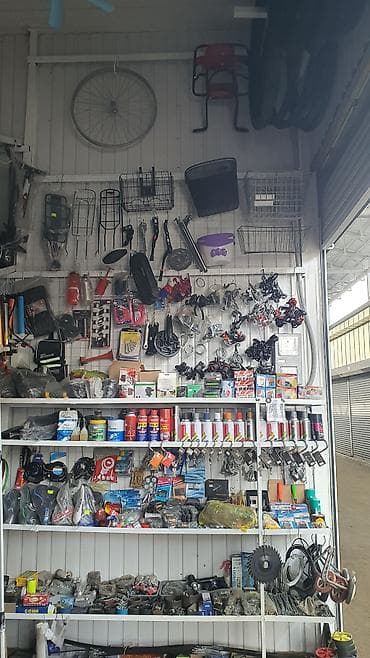 прокат электросамокатов бишкек: Тоо велосипеди, Болот — 3