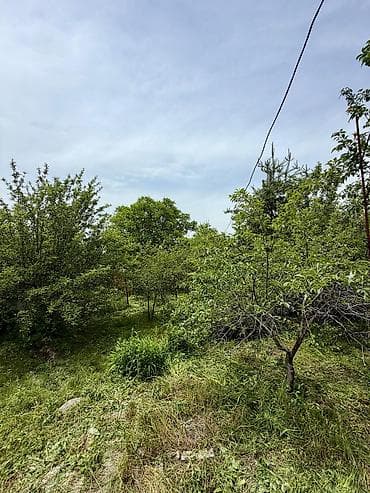 баня бишкек с бассейном: 🏡🔥 ПРОДАЁТСЯ ДАЧА В ТАШ-МОЙНОКЕ! ДТ: «Мичуринец» 🌿 💥 Участок — 6 — 9