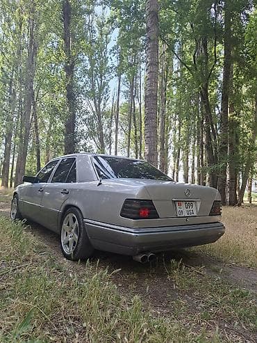 Mercedes-Benz W124: 1994 г., 3.2 л, Автомат, Газ, Седан — 5