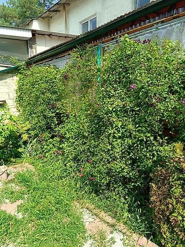 4 бөлмө, 96 м², Жеке план, 1 кабат, Эски ремонт — 7