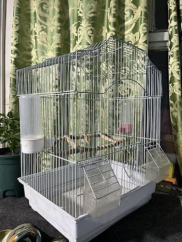 вера: Защитные сетки от птиц, Самовывоз, Бесплатная доставка, Платная доставка — 2