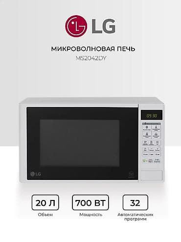 микровалновка: Коляска, цвет - Черный, Новый, Платная доставка, Самовывоз — 2