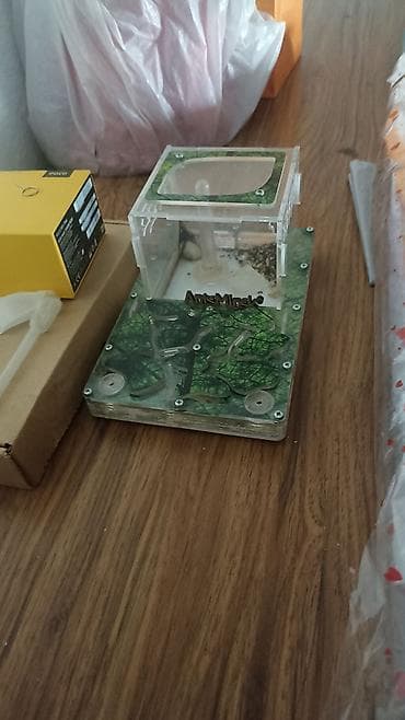 Формкарий для муравьёв AntsMiracle - Компактная ферма с модульной