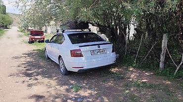 sur ron: Skoda Octavia: 2017 г., 1.6 л, Автомат, Бензин, Седан — 8