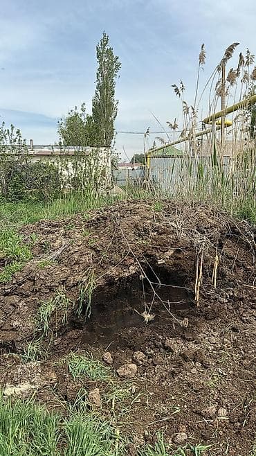 дождевой червь: Навос кык сатам адрес ново пакровка — 2