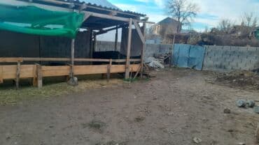 ак босого дом продаю: Дом, 75 м², 4 комнаты, Собственник — 2