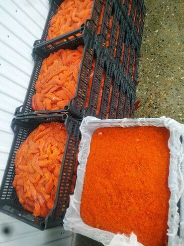 свежий рыба: Свежий, До 1 кг, Более 10 кг, Платная доставка, Самовывоз, Бесплатная доставка — 1