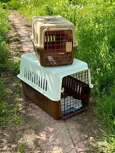 Переноски для домашних животных (2 размера) Описание: - Пластиковые