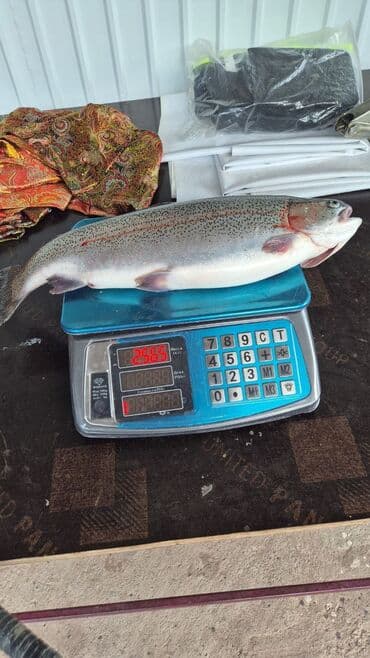 жибек жолу фучика: 2 кг, 3 кг, Самовывоз, Бесплатная доставка, Платная доставка — 2