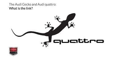 сидение на ауди с4: Audi 100: 1992 г., 2.3 л, Механика, Газ, Седан — 5