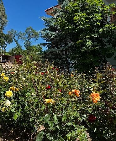 отель бишкек: 🏡 Гостевой дом «Айсанат» — отдых на Иссык-Куле по доступной цене! 📍 — 2