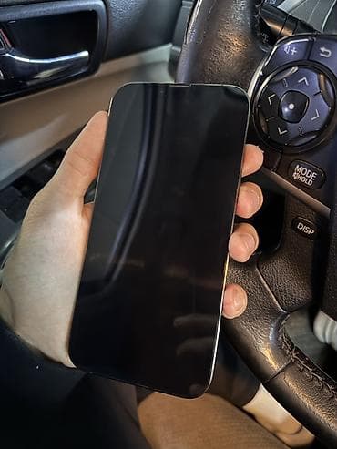 ipone 13 mini: IPhone 13 Pro Max, Б/у, 256 ГБ, Alpine Green, Коробка, 80 % — 1