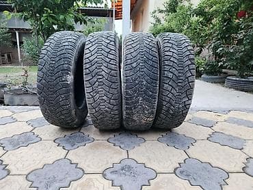 лыжные крепление: Шины 185 / 70 / R 14, Зима, Комплект, Легковые, TUNGA — 1