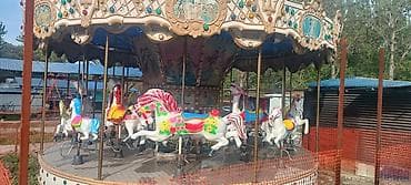 дома контейнеры: Аттракцион «Карусель-манеж» с лошадками - Классическая круговая — 1