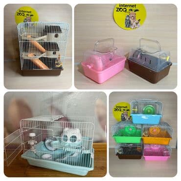 морской свин: ХОМЯЧОК+КЛЕТКА с поилкой, кормушкой, беговое колесо+КОРМ+ОПИЛКИ. Весь — 10