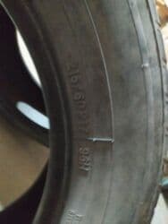 кой кыркыч: Продаю | Жеребенок | Для разведения | Племенные — 7