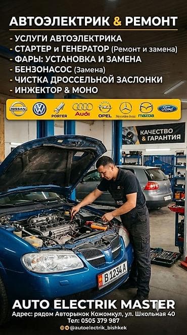 транс: АВТОЭЛЕКТРИК & РЕМОНТ — AUTO ELECTRIK MASTER Профессиональная — 1