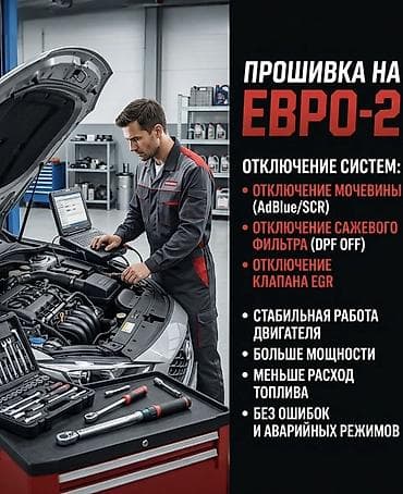 Прошивка на Евро-2 (чип-тюнинг, деактивация экологических систем)