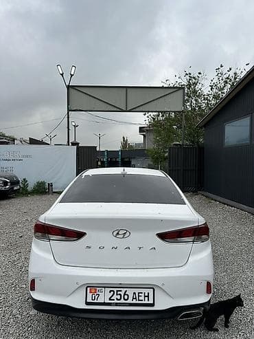 dn8 sonata: Hyundai Sonata: 2017 г., 2 л, Автомат, Газ, Седан — 3