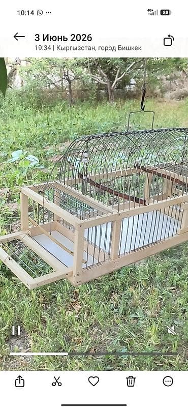 bird: Защитные сетки от птиц — 1
