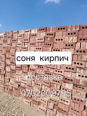 жаренное мороженое: Пустотелый, дырчатый, Жженый кирпич, Одинарный, 250×120×65 — 3