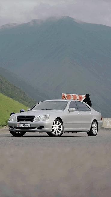 аргус двери: Mercedes-Benz S-Class: 2003 г., 5 л, Автомат, Бензин, Седан — 1