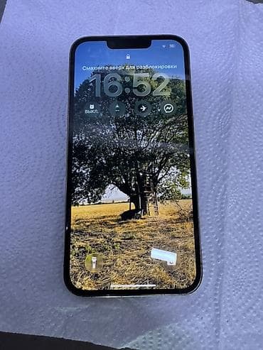 IPhone 13 Pro, 256 ГБ, Серебристый, Зарядное устройство, Защитное стекло, Чехол