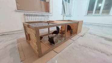 дом для куриц: Клетка для птицы, цыплят и тд изготовленная из дерева и металлической — 7