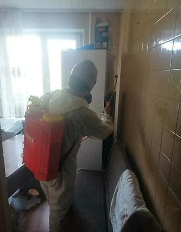 Таракан дезинфекция хлоп дезинфекция курт дезинфекция кумурска