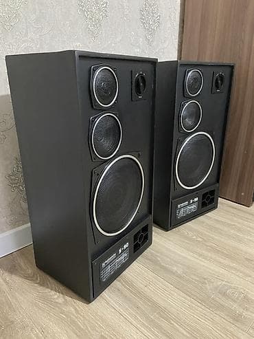 декодер 5 1: Акустическая система Radiotehnika S-90 (пара колонок) - Тип — 2