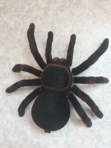 кукла домик: Продаю паук с пультуправлением новый "тарантул"как на фото — 8