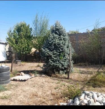 срочно продаю в связи с переездом: 8 соток, Для строительства, Красная книга, Тех паспорт — 1