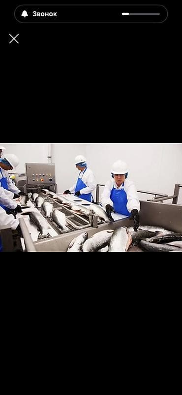 Упаковочные товары: Балык кармаканга, жана тазалаканга бала 17-45 чейн . Жатаканасы — 1