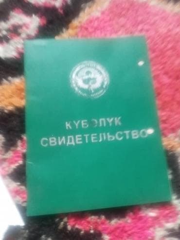 Недвижимость: 169 соток, Для сельского хозяйства, Договор купли-продажи — 5