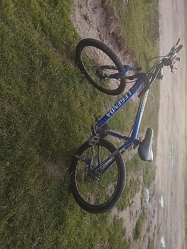 legend: Горный велосипед, Рама M (156 - 178 см), Сталь — 3