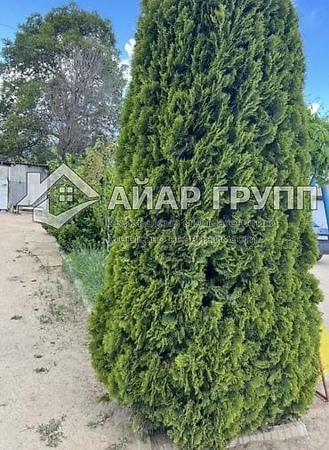 Кыймылсыз мүлк: 🔷 ПРОДАЕТСЯ ДОМ НА ИССЫК-КУЛЕ 📍 Чолпон-Ата (за рестораном «Барашек») — 3