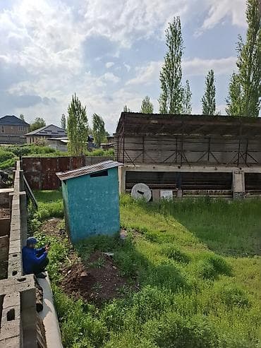 уй сатып алам бишкек: Мүйүздүү бодо мал фермасы, 4 соток, Иштебеген, Жабдууларсыз, Коммуникацияларсыз — 4