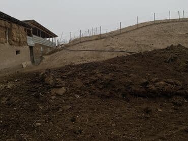 металлический мусорный контейнер купить бишкек: 2 жылдык койуй дан чыккан кык Дареги : ош-бишкек жолунда отуз-адыр — 2