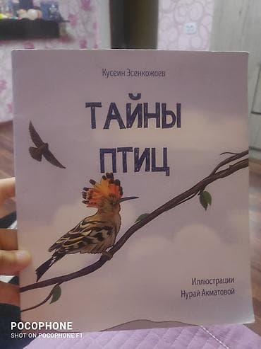 Детские книги: Книга «Тайны птиц» — автор Кусеин Эсенкожоев, иллюстрации Нурай — 1