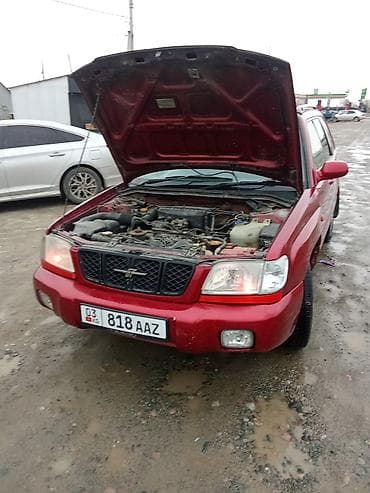 Subaru: Subaru Forester: 2001 г., 2 л, Автомат, Бензин, Универсал — 1