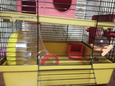домашные куры: Могу сделать скидку. Клетка для хомяков в полной комплектации беговое — 2