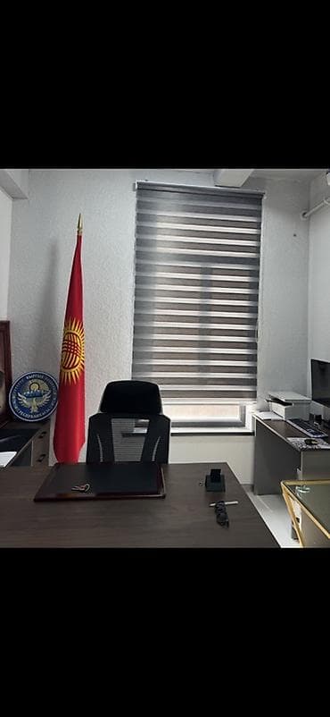 портьеры: Рулонные шторы и жалюзи под заказ - Модели: «день-ночь» (зебра) — 7