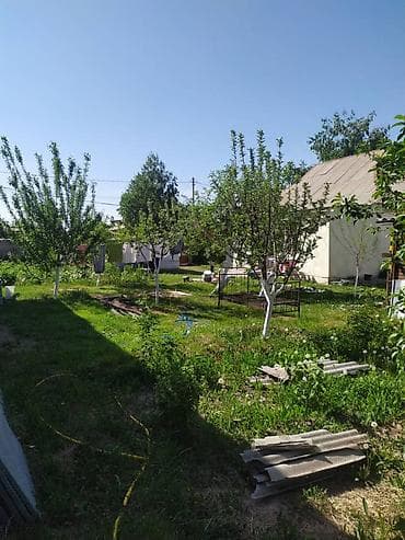 пол дома: 8 соток — 3