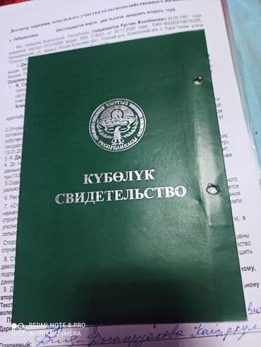 Земельные участки: 10 соток — 4