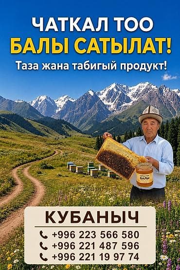 Продукты питания: Натуральный горный мёд из Чаткальских гор. - Происхождение — 1
