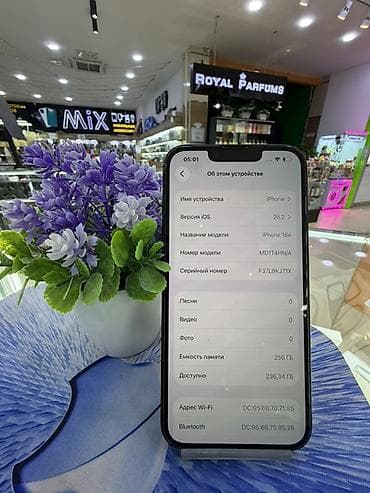 iphone 1e pro: IPhone 16e, 256 ГБ, Черный, 100 % — 3