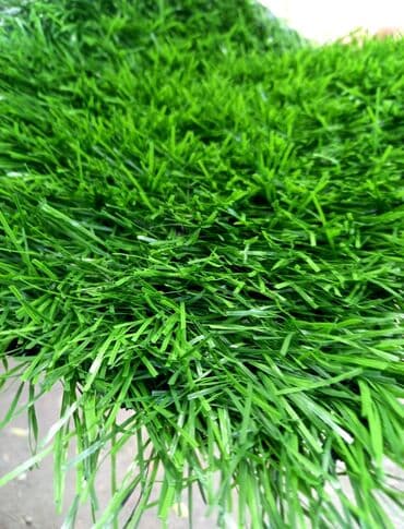 цена искусственного газона для футбольного поля: Газон спортивный для футбольного поля гарантия качества высота ворса — 8