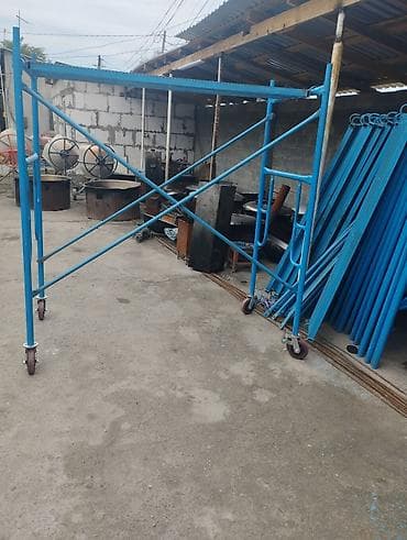 Бөлмө өсүмдүктөрү: ##Ижарага леса беребиз
##Аренду леса — 4